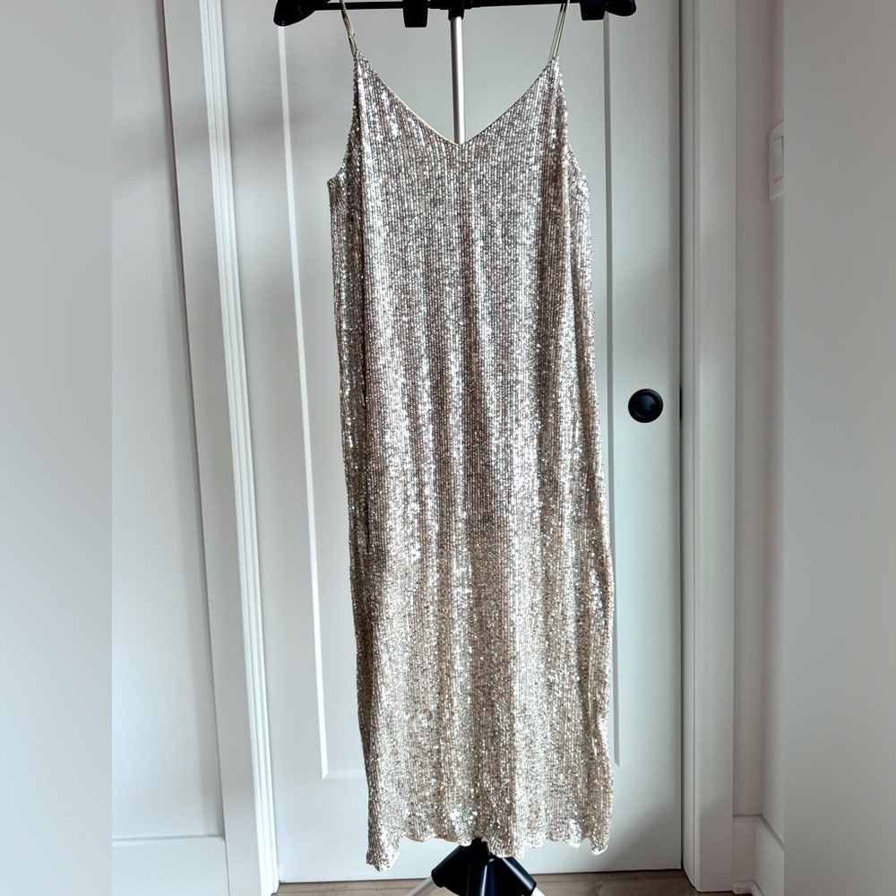 Silver Sequin maxi dress.